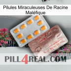 Pilules Miraculeuses De Racine Maléfique new13